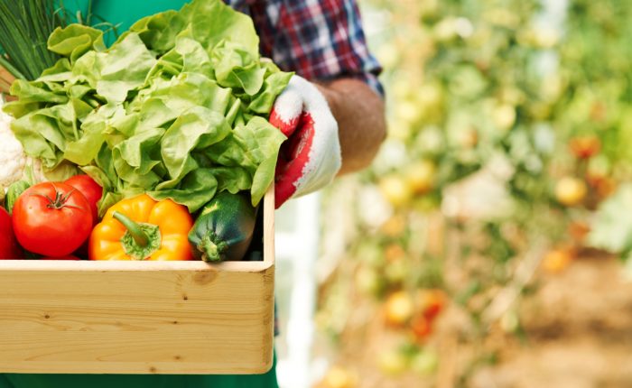 Vegetable