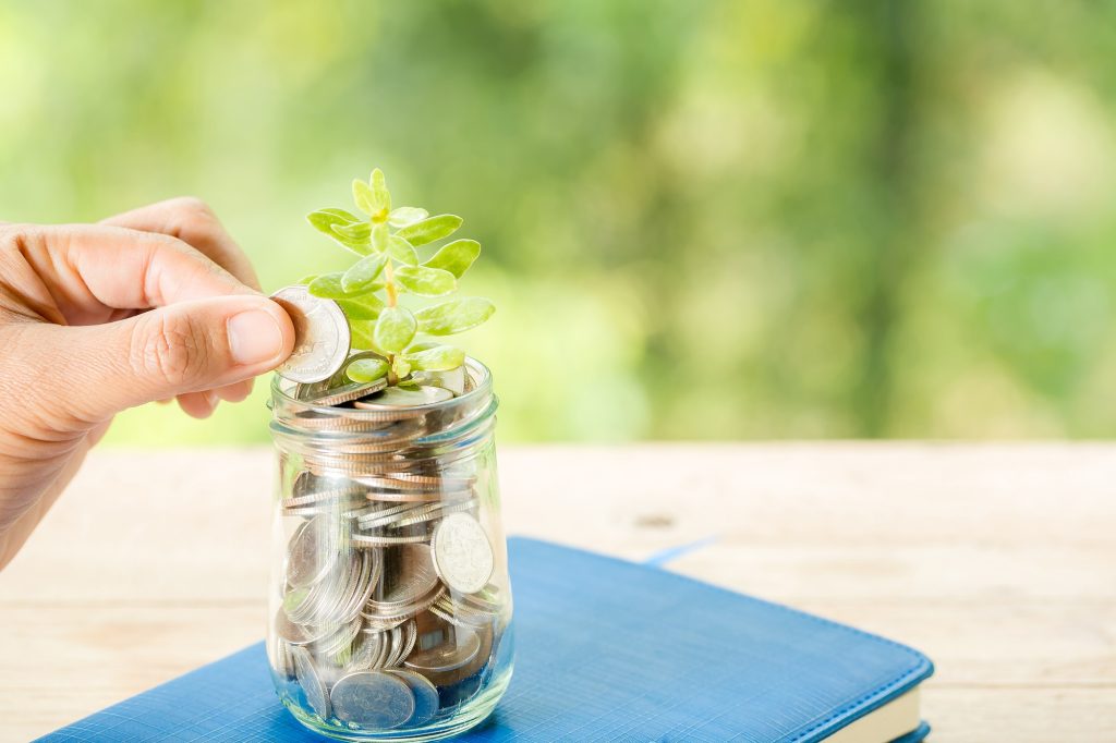 Close-up of a coin jar with a tree