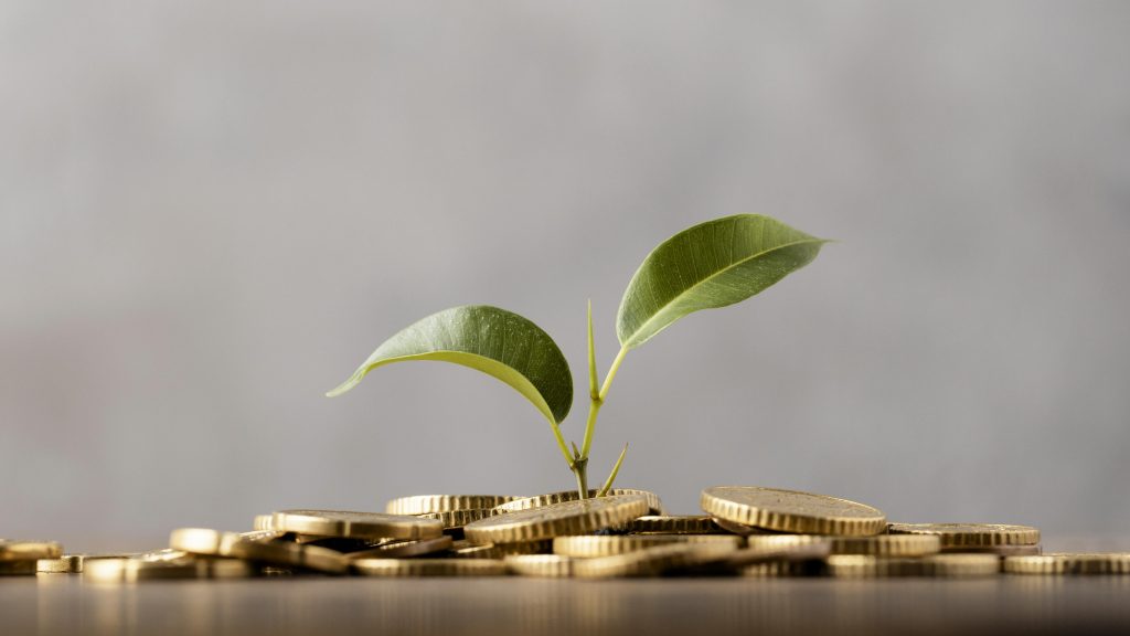 front-view-plant-growing-from-golden-coins