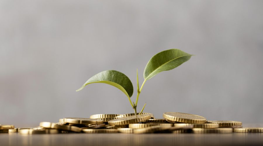 front-view-plant-growing-from-golden-coins